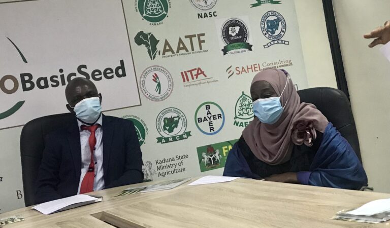 Nigeria capable of doubling maize production if farmers use hybrid seeds, says ECOBASic Seeds MD