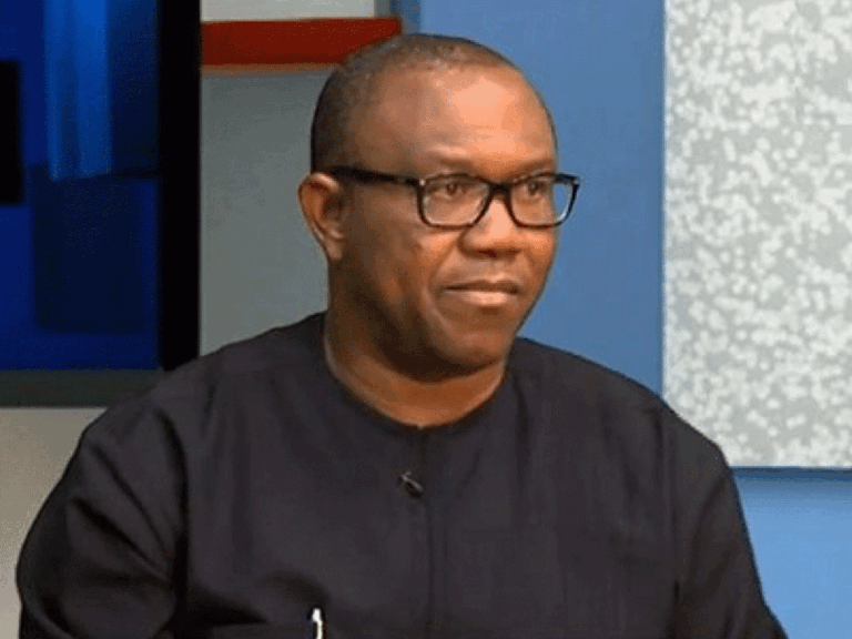 LP picks Peter Obi as Presidential candidate