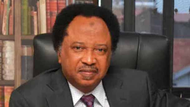 Shehu Sani: Buhari cultivated, incubated most opaque federal cabinet in Nigeria’s history