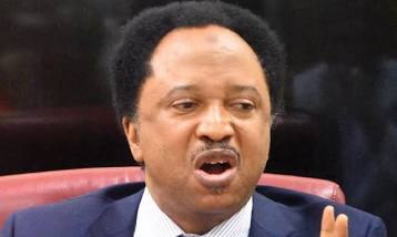 Tinubu, inviting trouble  by bringing El-Rufai to serve in his government, says Sani