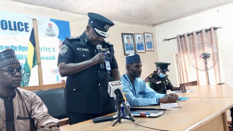 Kaduna CP: Irresponsible parents, recruitment of underage children as house helps,  undermining enforcement, protection of child right