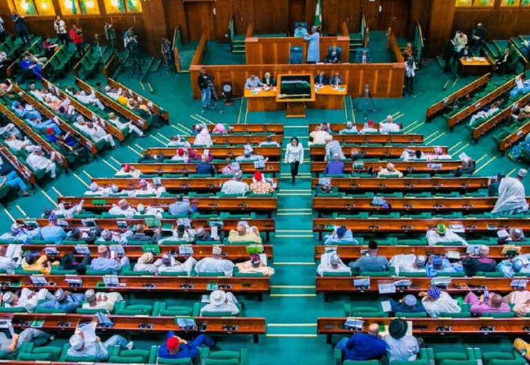 Reps oppose bill seeking to raise educational qualification for president, lawmakers