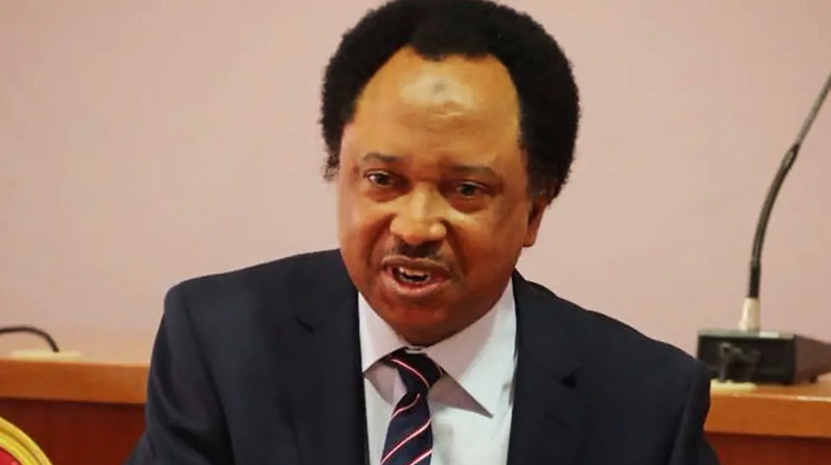 Shehu Sani: Fraudulent technocrats, thieving consultants, contractors, plundered Kaduna
