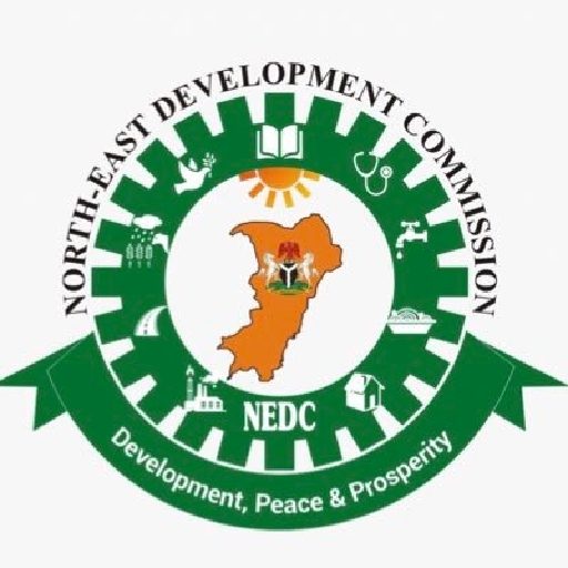 NEDC initiated 134 projects in Taraba, says Alkali