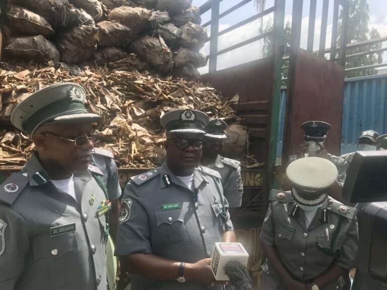 Customs intercept donkey bones, meat, worth billions of naira 