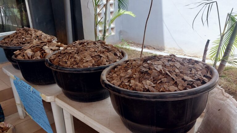 Nigerian Customs impound pangolin scales worth N3.9b