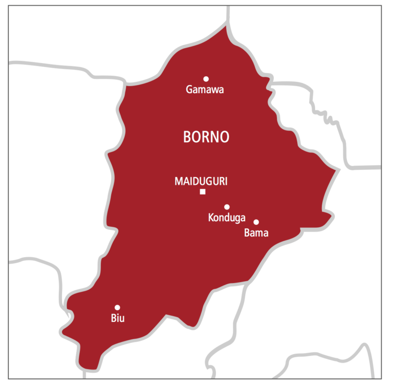 Female suicide bomber reportedly kill six, injure 15 others at a wedding in Borno