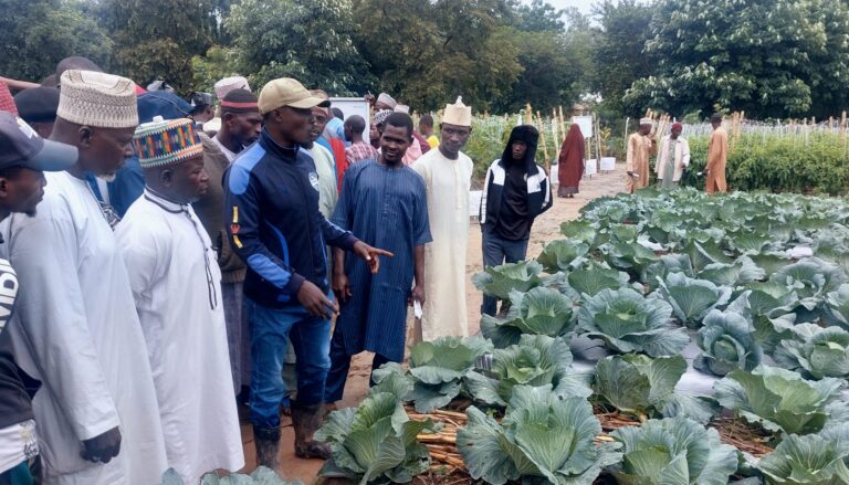 HortiNigeria trains over 1000 farmers in Kaduna