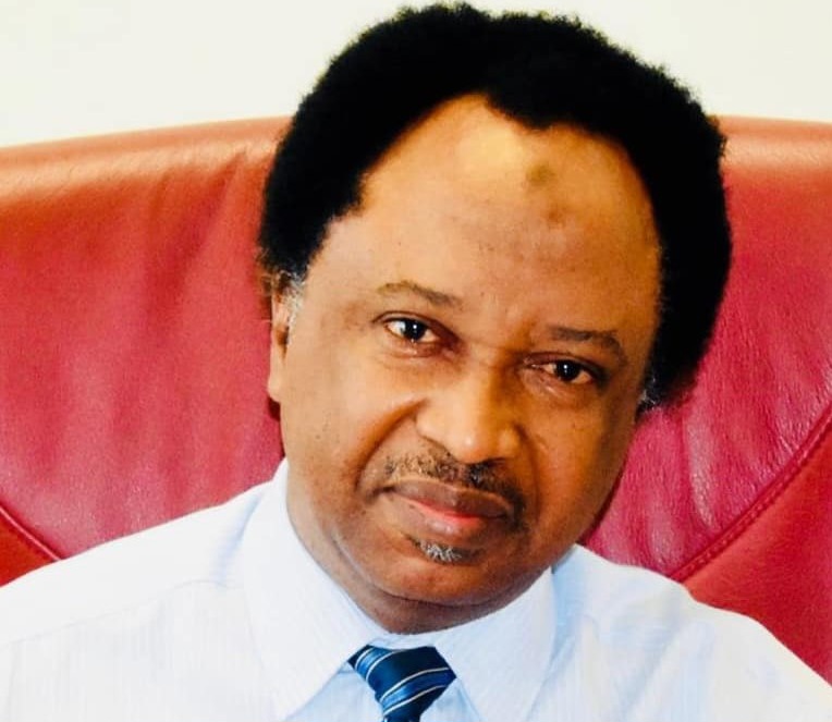 Shehu Sani: Northern leaders squandered opportunities to develop region 