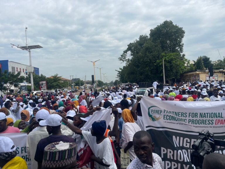 Protesters storm Kaduna, accuse oil cartel of sabotaging Dangote refinery