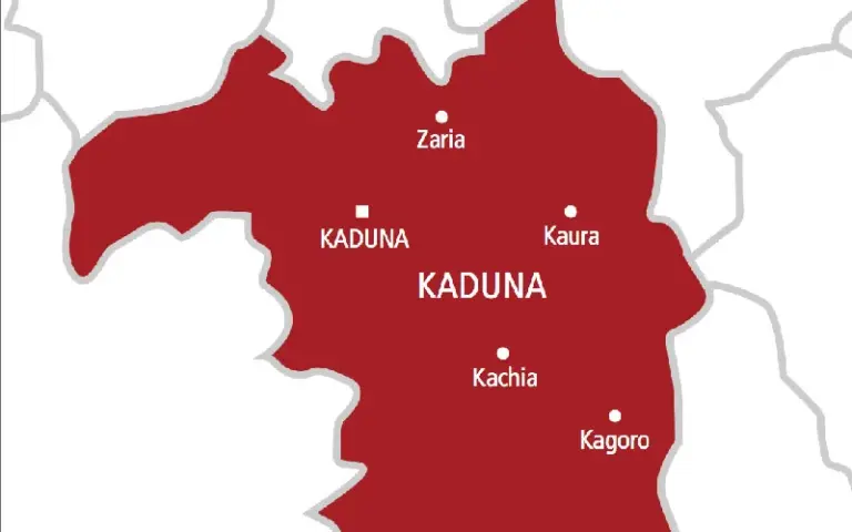 Over 2000 Kaduna maize farmers record N10.16bn losses, seek FG, CBN support