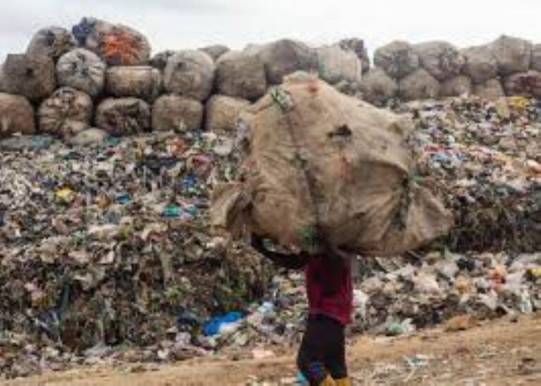Harnessing waste for power: The UNN initiative and Nigeria’s prospects