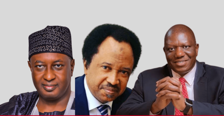 Katung, Sani, Yero, win Kaduna senatorial tickets 
