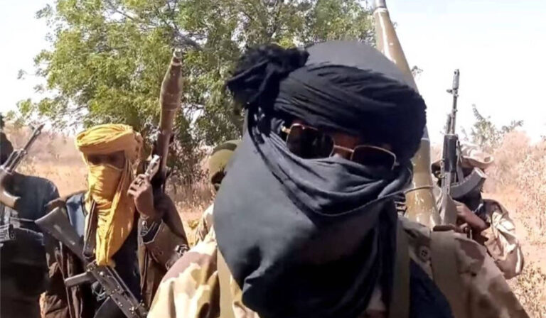 Bandits abduct 47 women in Niger